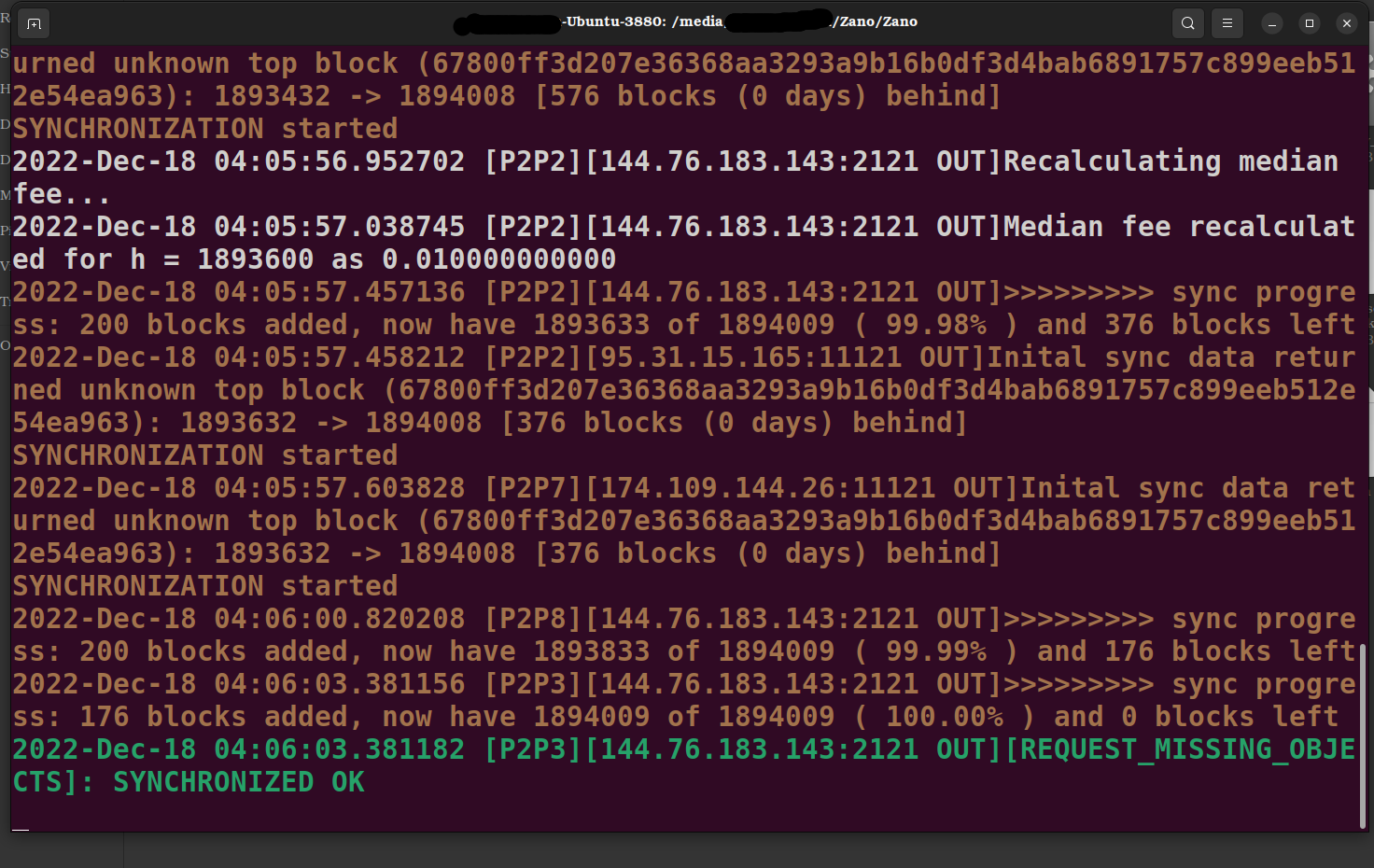 alt install-zano-cli-wallet-step-11